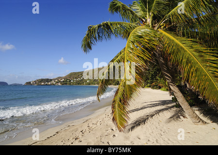 Friendship Bay, Bequia, Saint Vincent, dei Caraibi Foto Stock