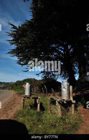 Blue sky ritratto di tre bidoni per il latte su tavole di legno sotto gli alberi, sul ciglio della strada, ad una fattoria ingresso, Isola di Chiloe, Cile Foto Stock