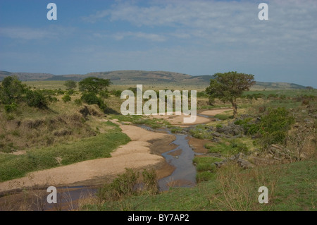 Vista del paesaggio del fiume di sabbia nel Masai Mara in Kenya Foto Stock