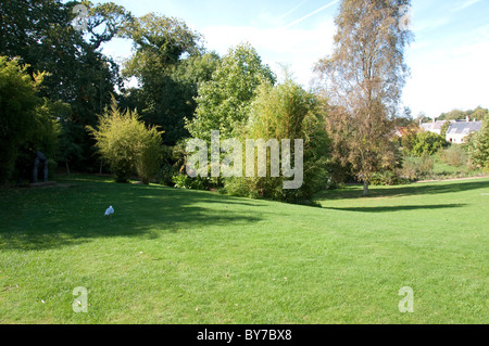 Guardando verso Les Augres Manor in ampi terreni di Jersey Zoo (Durrell Wildlife Conservation Trust) Foto Stock