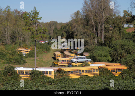 Georgia,GA,Sud,Raoul,junkyard,deposito scarti,deposito recupero,veicolo,auto,autobus vecchia scuola,pullman,rottamazione,smantellamento,parti in metallo,impilato,r Foto Stock