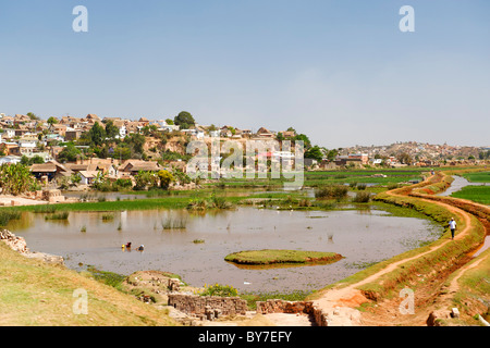 Vista dell'alloggiamento e il paesaggio nella periferia di Antananarivo, la capitale del Madagascar. Foto Stock