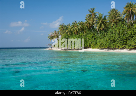 Maldive, North Male Atoll, Isola di Kuda Bandos. Foto Stock