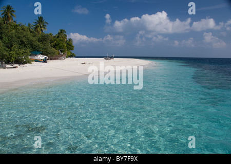 Maldive, North Male Atoll, Isola di Kuda Bandos. Foto Stock