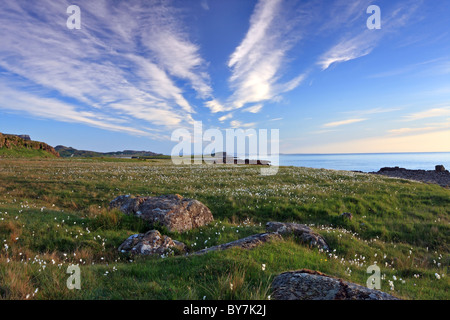 Erba di cotone eriophorum angustifolium e la vista sulla baia di Staffin Trotternish Peninsula Isola di Skye in Scozia UK Foto Stock