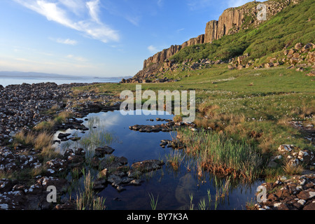 La piscina e il cotone erba eriophorum angustifolium Rubha Garbhaig Staffin Bay Trotternish Peninsula Isola di Skye in Scozia UK Foto Stock