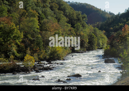 Tennessee Cherokee National Forest, Ocoee River, Scenic Highway 64, River bed, whitewater, rapide, rocce, alberi, massi, TN101014021 Foto Stock