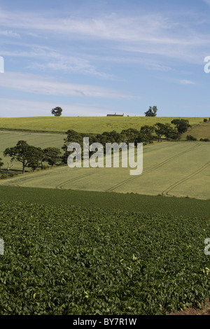 Campo Flodden 1513 il sito della battaglia nei pressi del villaggio di Branxton Northumberland Inghilterra Foto Stock