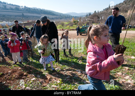 Tu Beshvat festival ebraico. La piantumazione di alberi evento organizzato dal JNF. Parco di Gerusalemme. Foto Stock