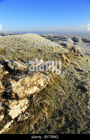 Una vista del paesaggio intorno a Lough Gur prese dalla collina a Carraig Aille Fortini, co limerick, Rep dell'Irlanda. Foto Stock