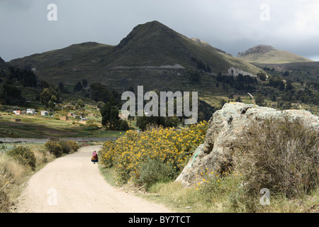 Vecchia Signora boliviana in abito tradizionale a piedi giù per una strada sterrata nei pressi di Copacabana Foto Stock