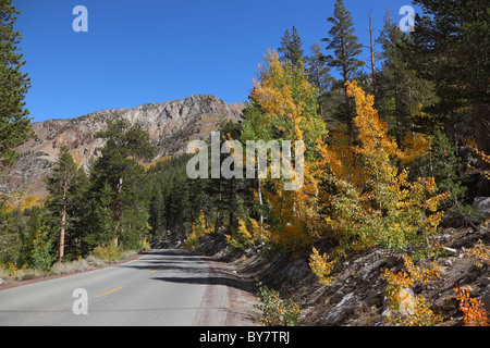 Sunny pomeriggio d'autunno. Ottima strada asfaltata tra colorate fogliame di autunno. Foto Stock