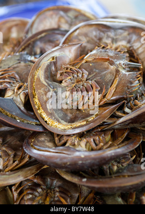 Granchio a ferro di cavallo in vendita a Patong Beach Phuket Thailandia - un esempio dello strano o strano cibo mangiato dalle persone di tutto il mondo Foto Stock