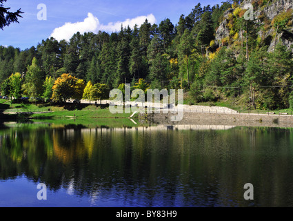 Lago di montagna con alberi di pino e il riflesso del cielo Foto Stock