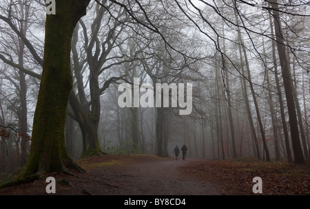 Uomo e donna che cammina su un sentiero forestale attraverso la nebbia copriva gli alberi in inverno. Dean Park, Kilmarnock, Ayrshire, in Scozia Foto Stock