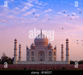 India, Uttar Pradesh, Agra, uccelli battenti vicino al Taj Mahal in tarda serata luce Foto Stock