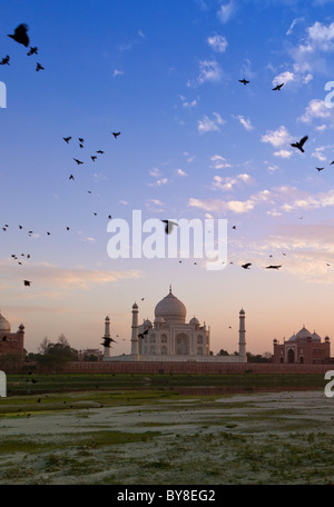 India, Uttar Pradesh, Agra, vista sul fiume Yamuna verso Taj Mahal in tarda serata luce con uccelli volteggiare tettuccio Foto Stock