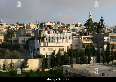 Case multipiano di palestinesi salire in modo compatto su questa collina a Betlemme, Israele. Una moltitudine di caloriferi di acqua solari sit Foto Stock