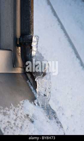 Congelati gronde (rischio di danni). Regno Unito Foto Stock