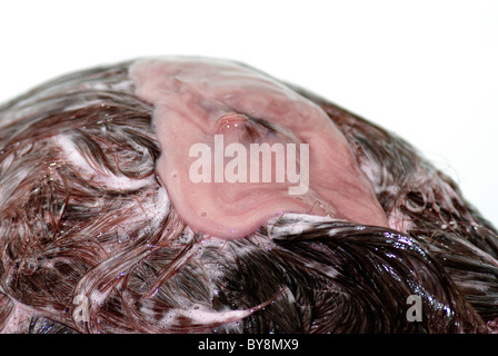 Applicando femmina Colore prugna tintura per capelli Foto Stock