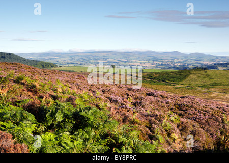 Vista sul parco nazionale di Northumberland dal Simonside colline Foto Stock