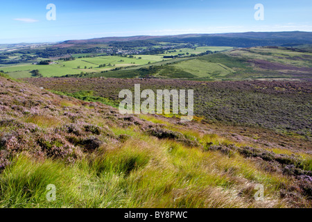 Vista sul parco nazionale di Northumberland dal Simonside colline. Foto Stock