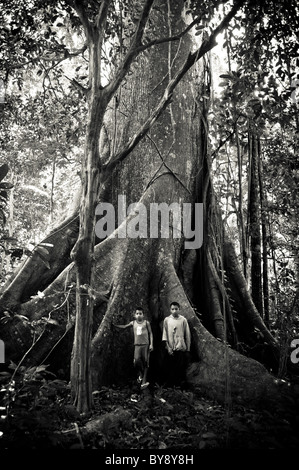 Due ragazzi in piedi di fronte a un enorme albero di Kapok nella foresta amazzonica Foto Stock