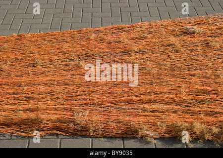 Mare pesca a strascico Reti e apparecchiature associate Foto Stock