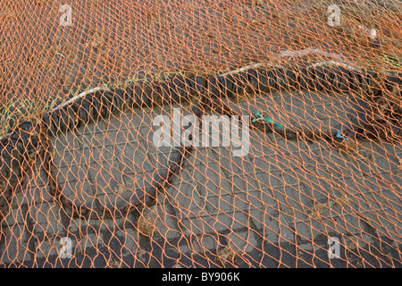 Mare pesca a strascico Reti e apparecchiature associate Foto Stock