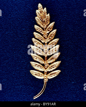 Replica di un ramo di olivo a sinistra sulla superficie della Luna da Apollo 11 membri di equipaggio. Foto Stock