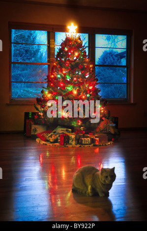 Albero di Natale con decorazioni Foto Stock