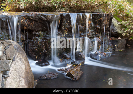 Una piccola cascata in Beacon Hill Park, Victoria, BC, Canada. Foto Stock