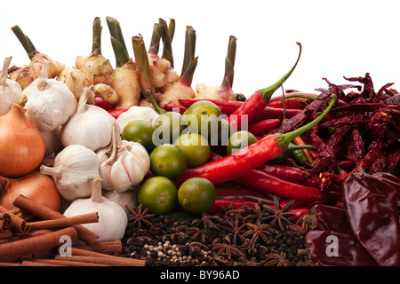 Combinazione di spezie asiatiche e Curry ingredienti Foto Stock
