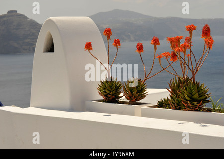 Insoliti comignoli e tetti sull'isola greca di Santorini nel Mare Egeo Foto Stock