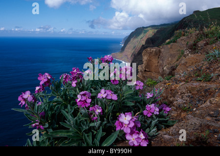 Costa vicino a Ponta do Pargo, Madeira, Portogallo Foto Stock