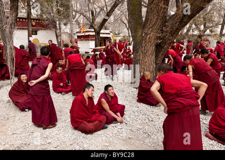 I monaci a discutere nel cortile a discutere al Monastero di Sera Lhasa il Tibet. JMH4593 Foto Stock