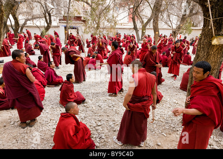 I monaci a discutere nel cortile a discutere al Monastero di Sera Lhasa il Tibet. JMH4595 Foto Stock