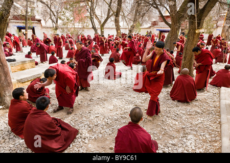 I monaci a discutere nel cortile a discutere al Monastero di Sera Lhasa il Tibet. JMH4596 Foto Stock