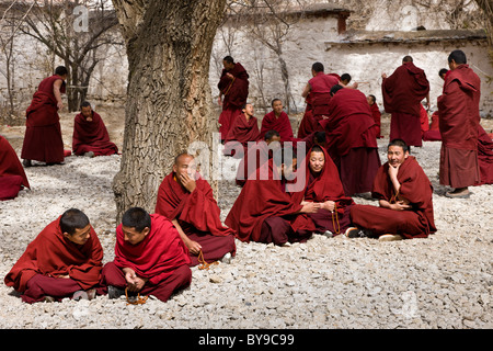 I monaci a discutere nel cortile a discutere al Monastero di Sera Lhasa il Tibet. JMH4597 Foto Stock