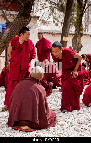 I monaci a discutere nel cortile a discutere al Monastero di Sera Lhasa il Tibet. JMH4599 Foto Stock