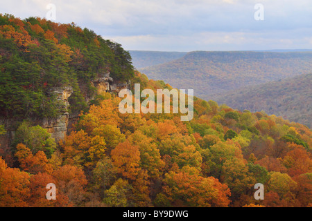 Vista dal golfo di alloro si affacciano, porta in pietra Trail, Savage Golfo Stato Area Naturale, Beersheba molle, Tennessee, Stati Uniti d'America Foto Stock