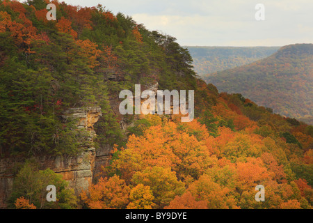 Vista dal golfo di alloro si affacciano, porta in pietra Trail, Savage Golfo Stato Area Naturale, Beersheba molle, Tennessee, Stati Uniti d'America Foto Stock