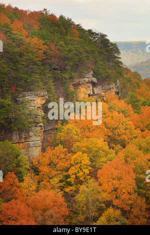 Vista dal golfo di alloro si affacciano, porta in pietra Trail, Savage Golfo Stato Area Naturale, Beersheba molle, Tennessee, Stati Uniti d'America Foto Stock