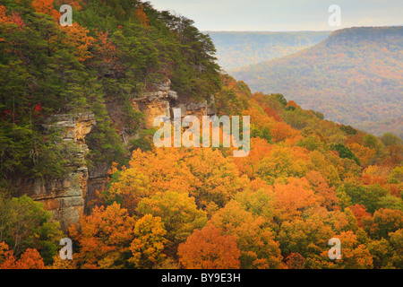 Vista dal golfo di alloro si affacciano, porta in pietra Trail, Savage Golfo Stato Area Naturale, Beersheba molle, Tennessee, Stati Uniti d'America Foto Stock