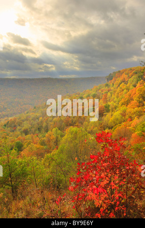 Vista dal golfo di alloro si affacciano, porta in pietra Trail, Savage Golfo Stato Area Naturale, Beersheba molle, Tennessee, Stati Uniti d'America Foto Stock