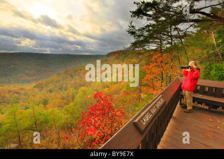 Escursionista presso il golfo di alloro si affacciano, porta in pietra Trail, Savage Golfo Stato Area Naturale, Beersheba molle, Tennessee, Stati Uniti d'America Foto Stock