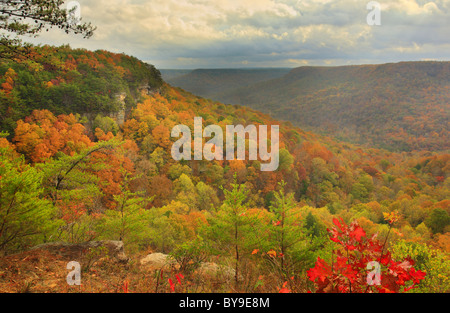 Vista dal golfo di alloro si affacciano, porta in pietra Trail, Savage Golfo Stato Area Naturale, Beersheba molle, Tennessee, Stati Uniti d'America Foto Stock