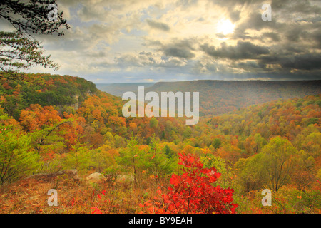 Vista dal golfo di alloro si affacciano, porta in pietra Trail, Savage Golfo Stato Area Naturale, Beersheba molle, Tennessee, Stati Uniti d'America Foto Stock