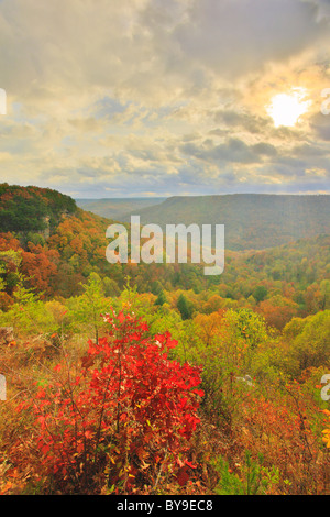 Vista dal golfo di alloro si affacciano, porta in pietra Trail, Savage Golfo Stato Area Naturale, Beersheba molle, Tennessee, Stati Uniti d'America Foto Stock