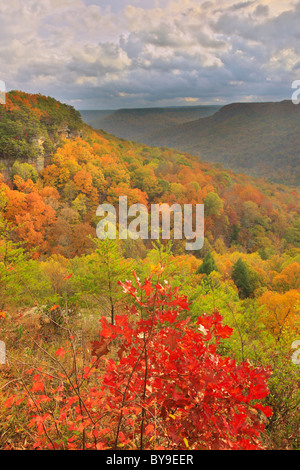 Vista dal golfo di alloro si affacciano, porta in pietra Trail, Savage Golfo Stato Area Naturale, Beersheba molle, Tennessee, Stati Uniti d'America Foto Stock